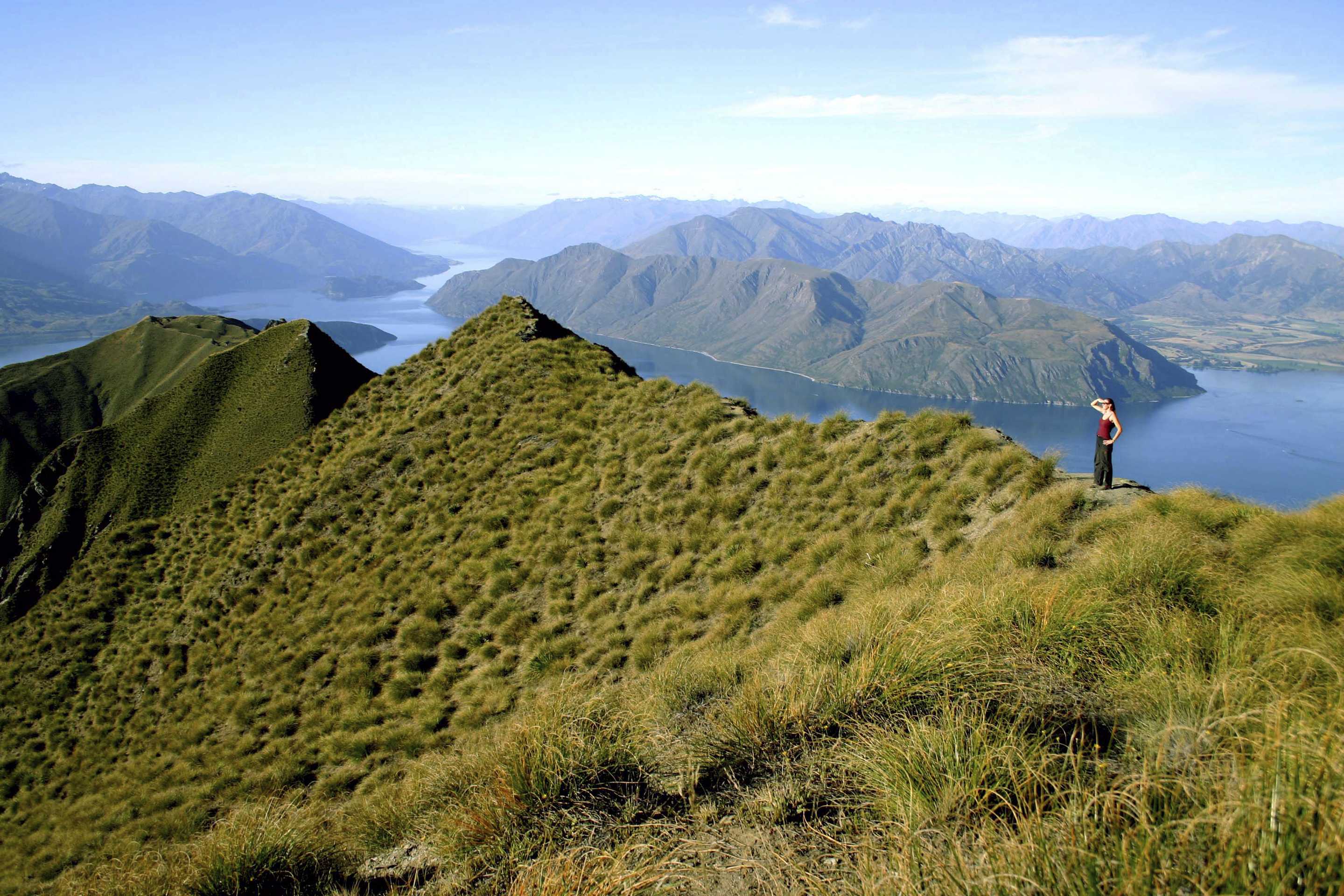Will Hike for Wine