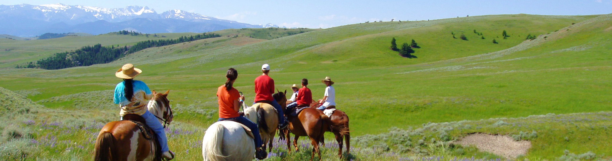 Family Adventures Questions & Answers