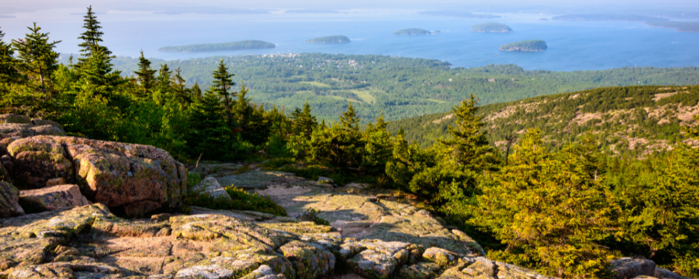 National Park Vacations