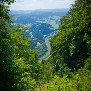 Poland Dunajec River