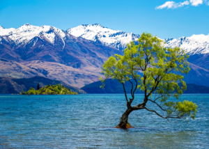 New Zealand Hiking