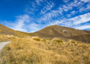 New Zealand Hiking