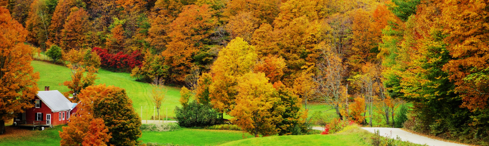 Vermont cycling